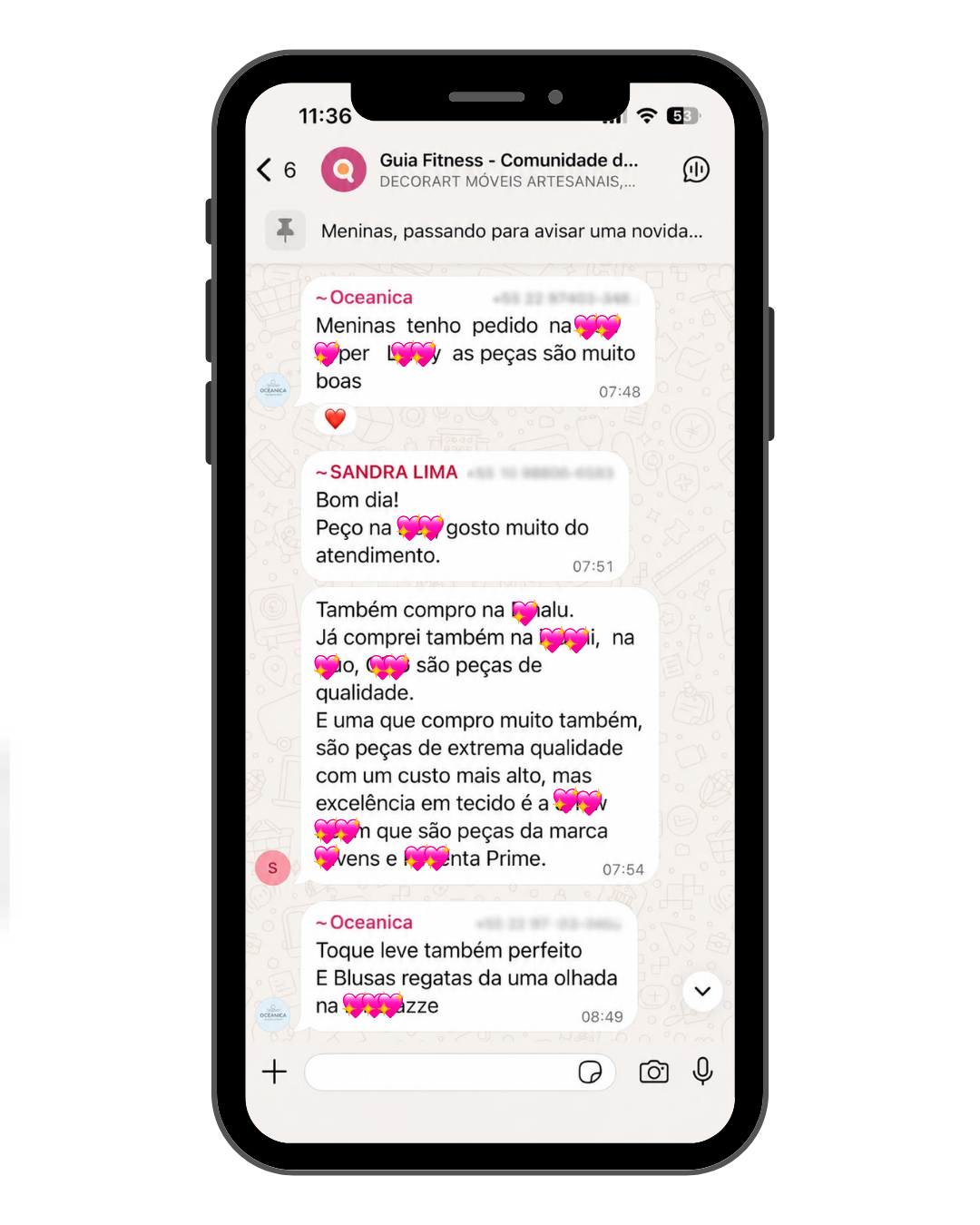 Mockup do grupo exclusivo no WhatsApp